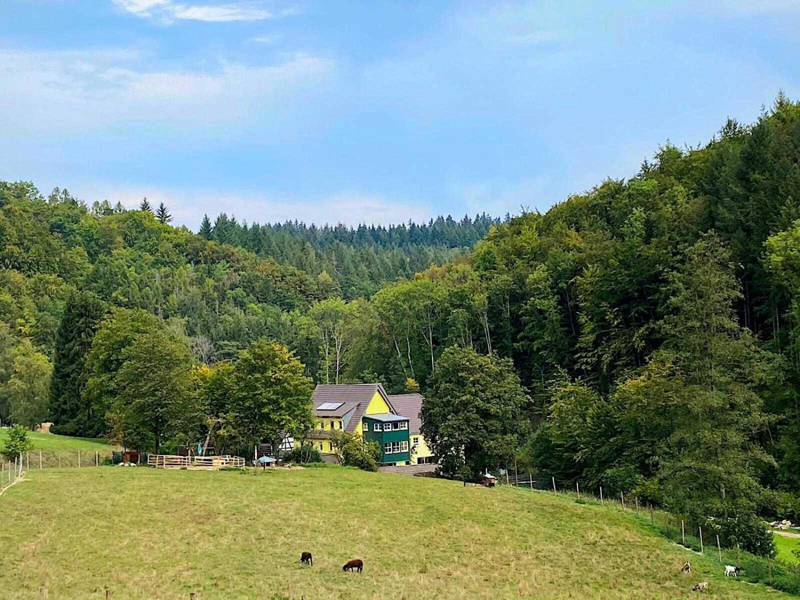 Siegelsbacher Muehle Extérieur photo